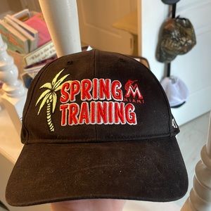 Miami Dolphins hat